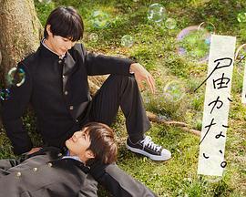 级无码毛片海報劇照