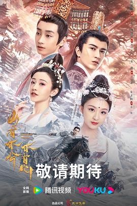 空姐岳母海報劇照